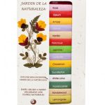 Conjunto mini Incenso Natural Biológico 15 aromas Sente Health Shop